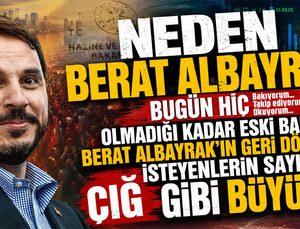 NEDEN BERAT ALBAYRAK!..